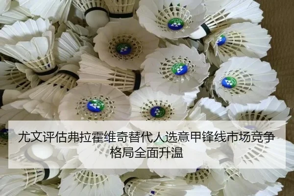 尤文评估弗拉霍维奇替代人选意甲锋线市场竞争格局全面升温